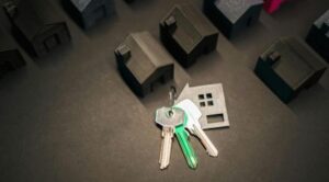 How Real Estate Agents Add Value to Your Property Search